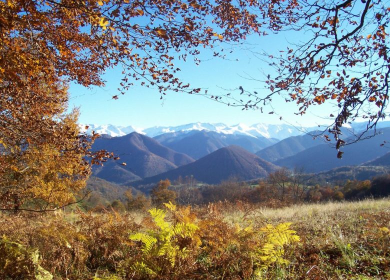 Randonnée vers le Col de Caoutchedegue