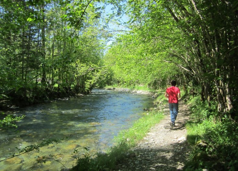 Balade au bord de la riviere