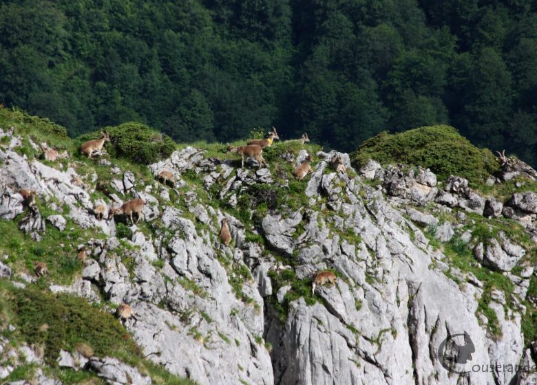 Randonnée Nature Petit monde des rochers Couserando Ariège Pyrénées.JPG
