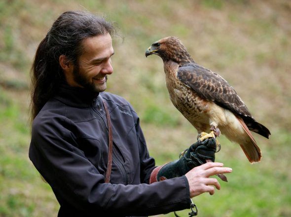 Plume et Cimes – Stages d’initiation à la fauconnerie
