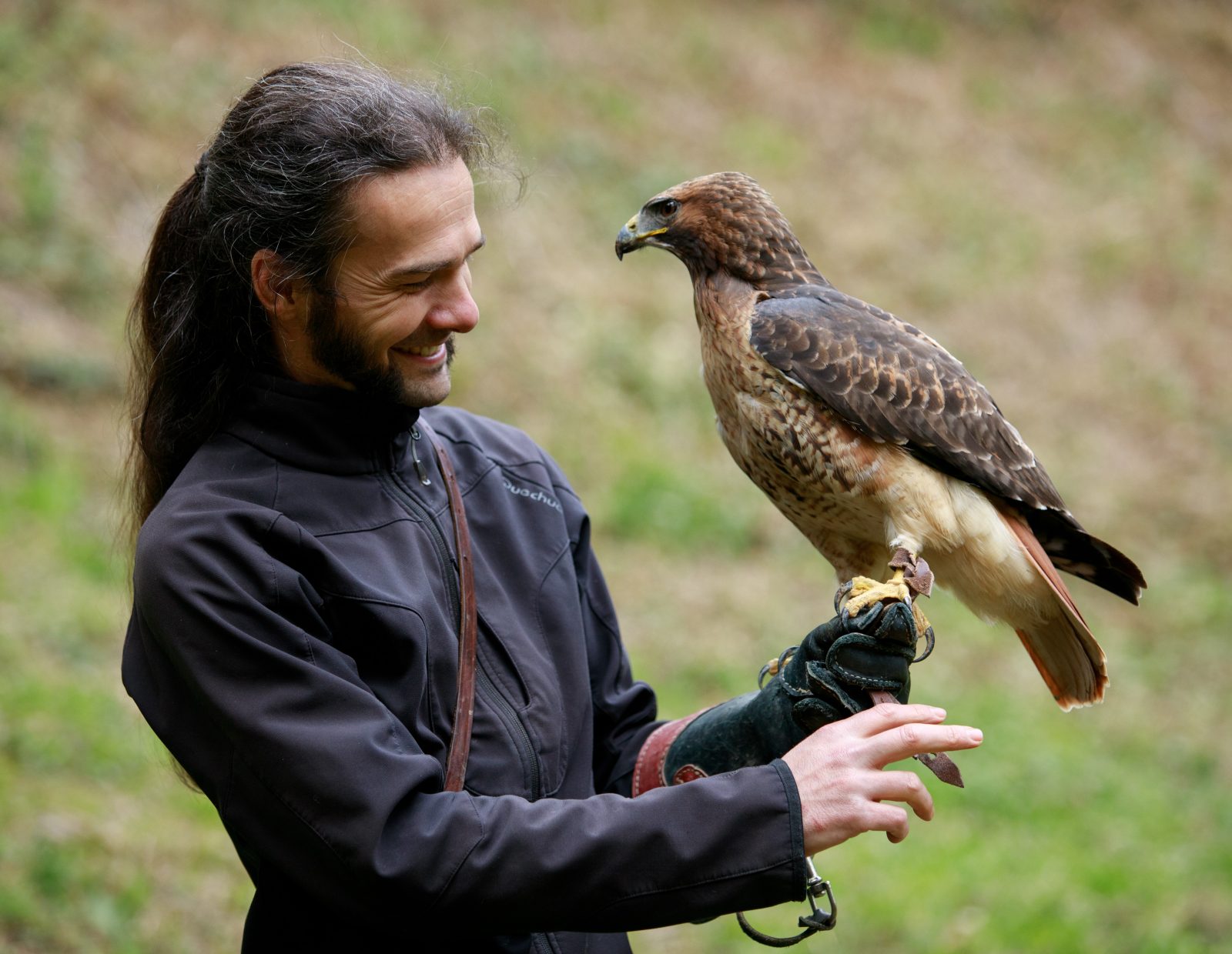 Plume et Cimes – Stages d’initiation à la fauconnerie