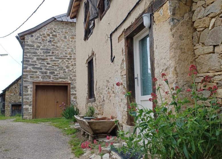 20230527_161901 (1).jpg