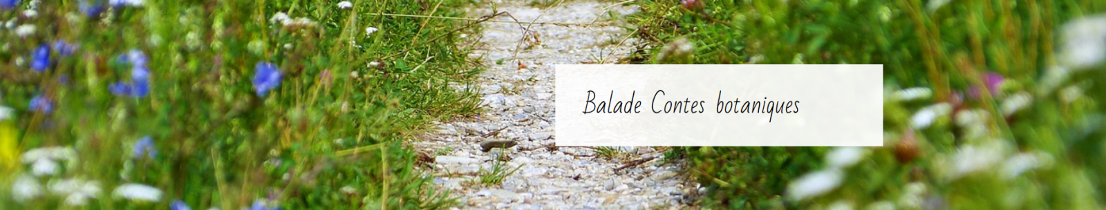 Flore des cimes – Balade Contes botaniques