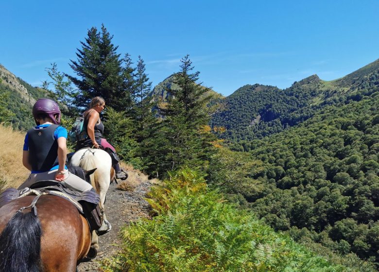 randonnées en montagne