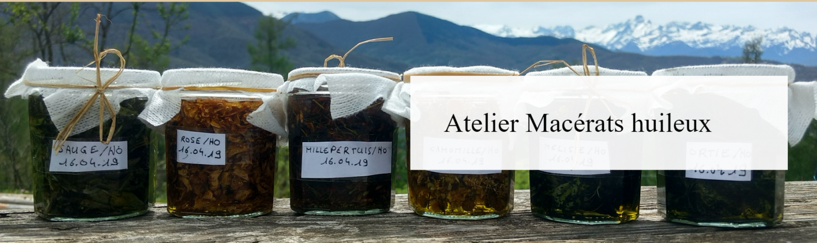 Flore des cimes – Atelier Macérats huileux