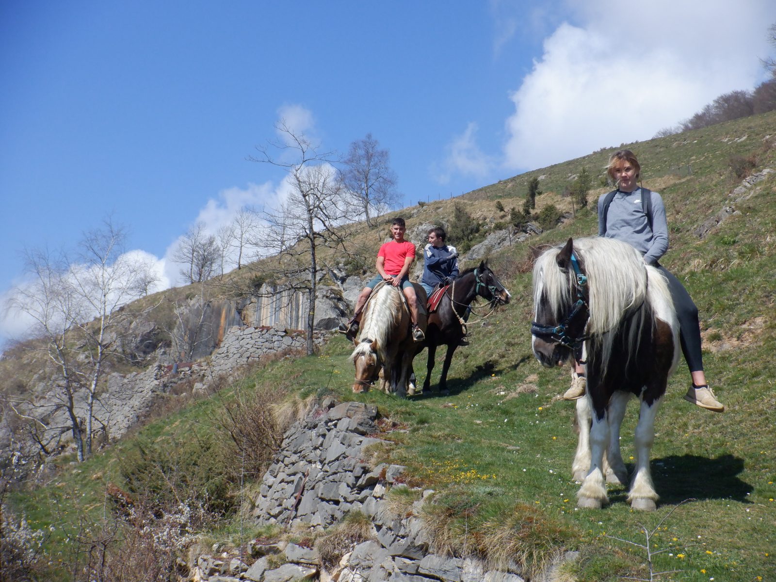 Les chevaux de la Spone Promenades à cheval et randonnées équestres