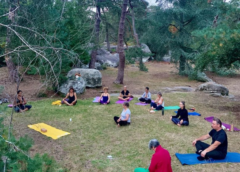 cours_yoga_foret_fontainebleau.jpg