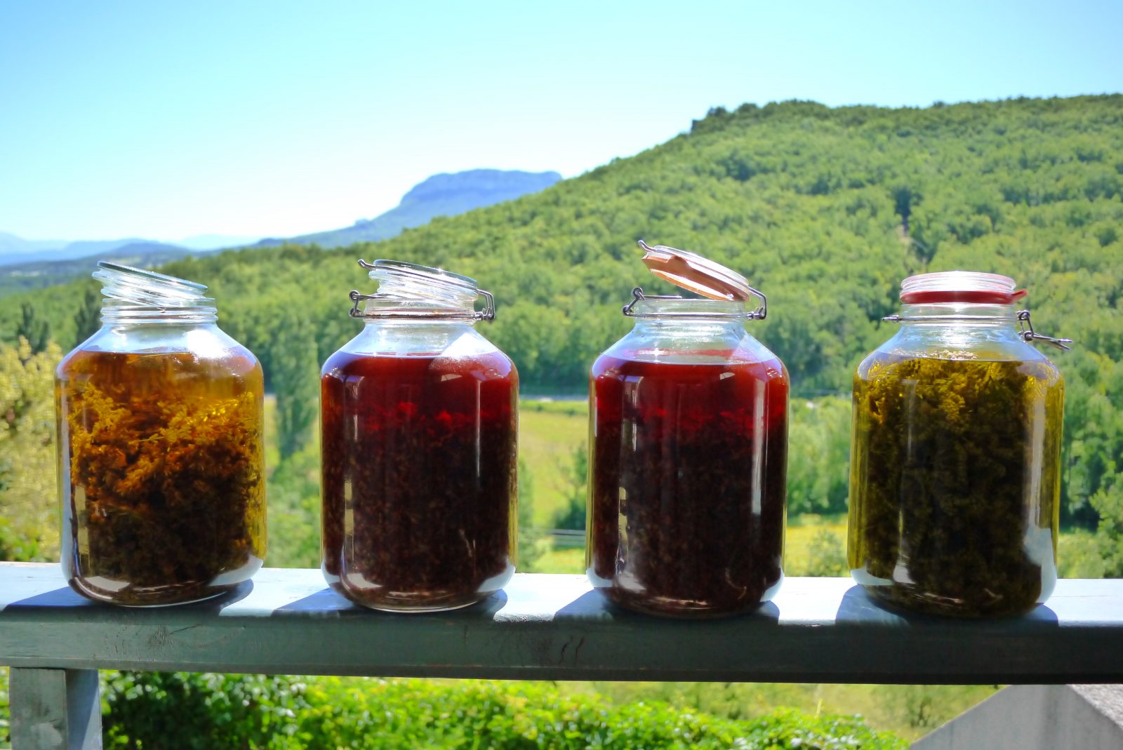 Journée découverte de l’herboristerie
