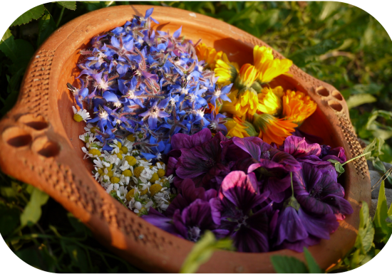 Atelier végétal à la carte