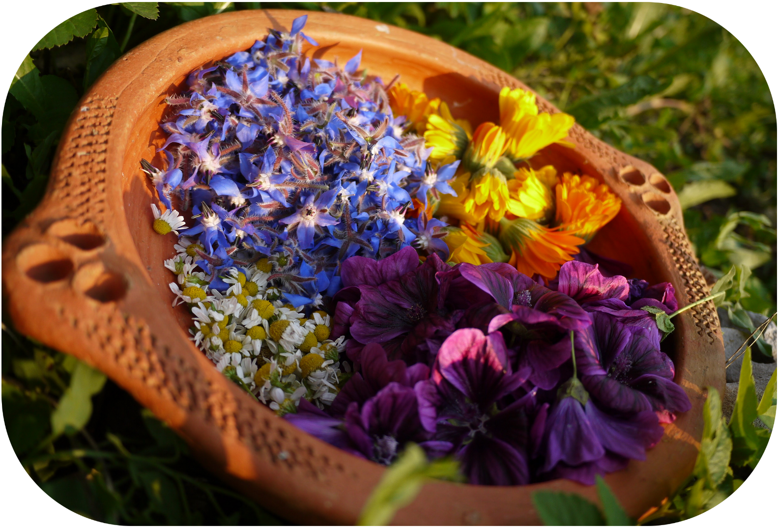 Atelier végétal à la carte