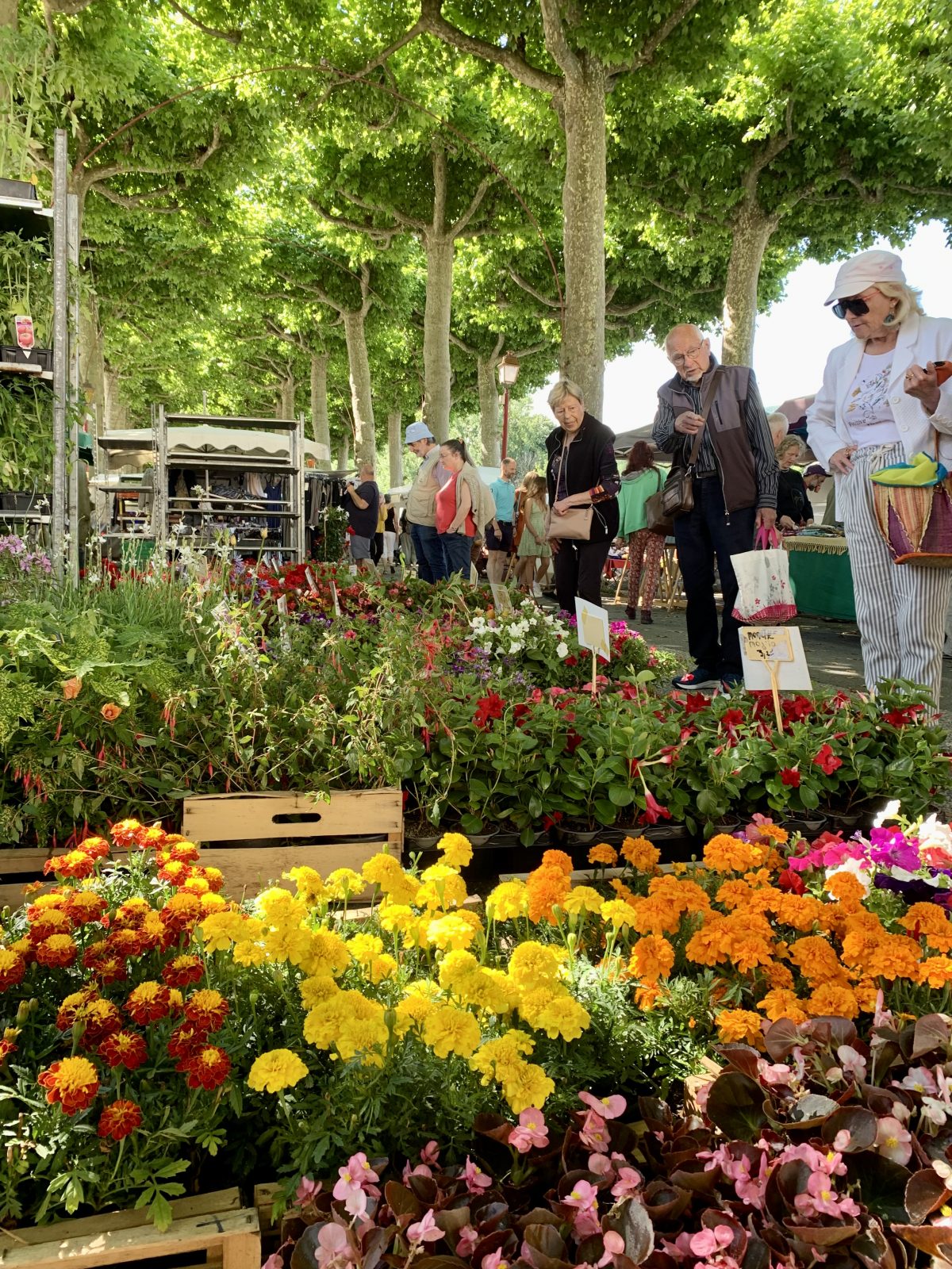 Marché de Saint-Girons