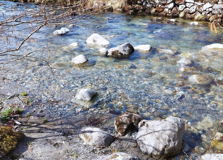 Rivère le Montagnou