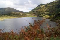 Parcours Faune et Flore