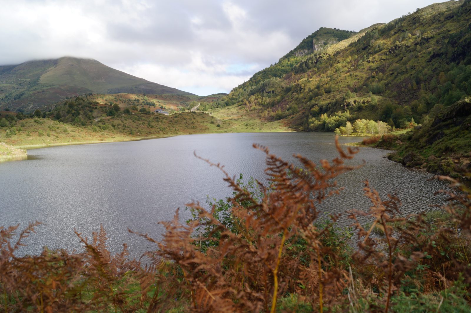 Parcours Faune et Flore