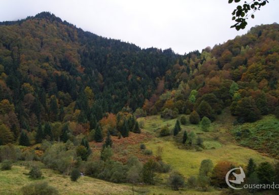 Randonnée Nature Couserando – Mystères de la forêt