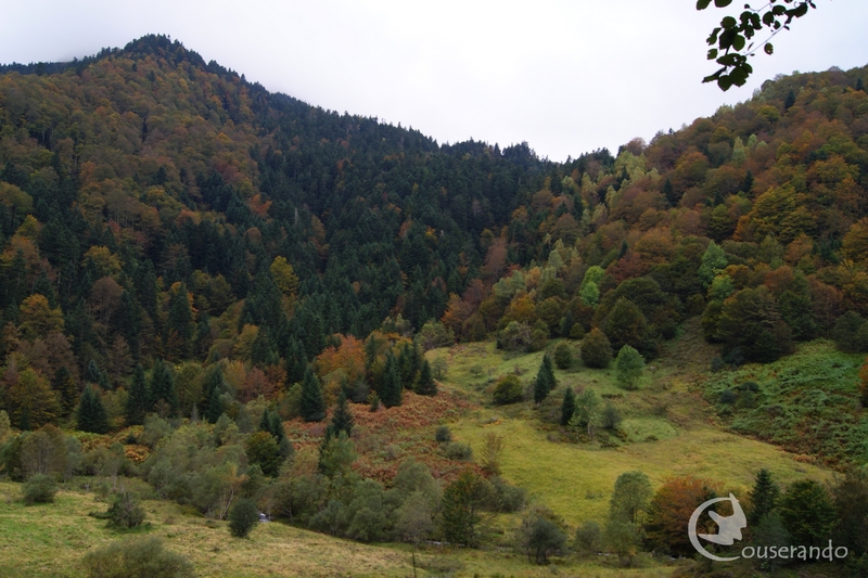 Randonnée Nature Couserando – Mystères de la forêt