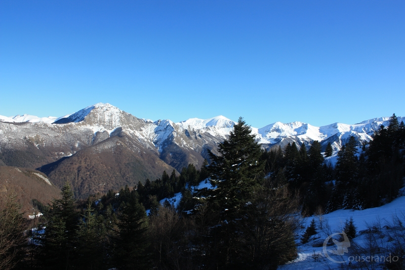 Randonnée en raquettes journée à thème nature