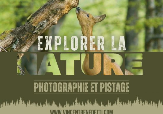 Vincent Benedetti : Cinéaste – Vidéaste