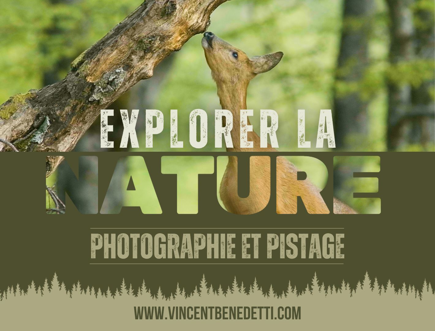 Vincent Benedetti : Cinéaste – Vidéaste