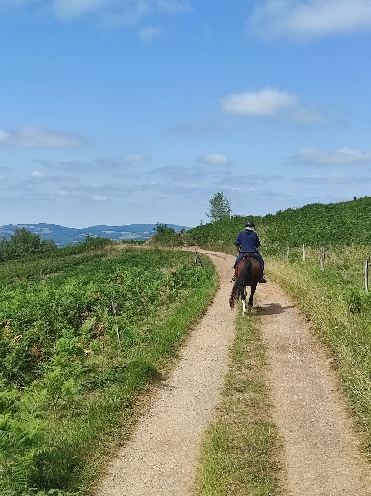 Rando 2 jours avec les Crins en Soi – Nature Cheval