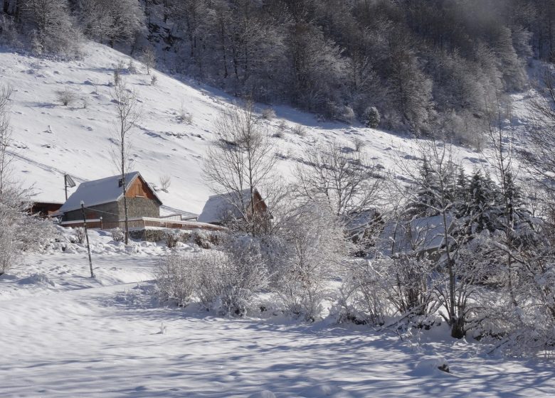 Paysage enneigé – Grange du Marterat