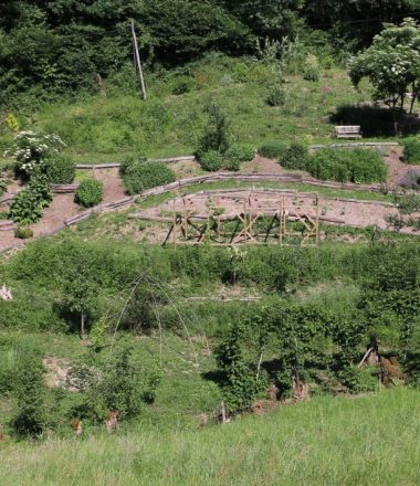 Jardin « Le Clos des Arômes »