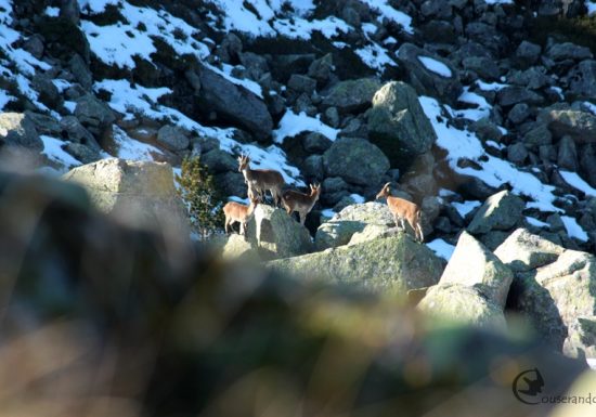 Randonnée Nature Couserando – Petit monde des rochers
