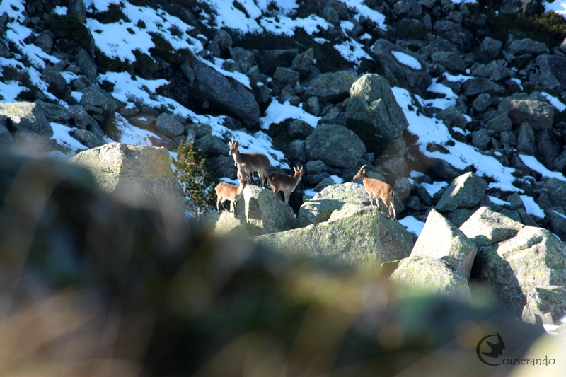 Randonnée Nature Couserando – Petit monde des rochers