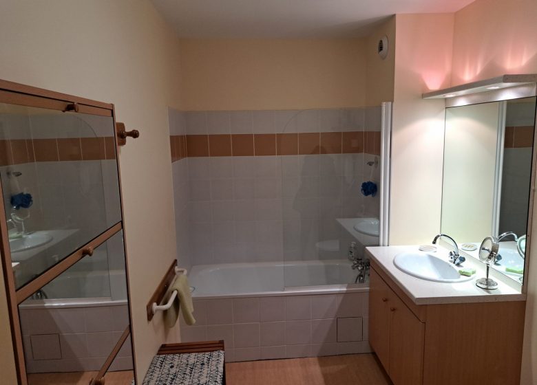 Appartement Le Porteur de Glace_Aulus-les-Bains