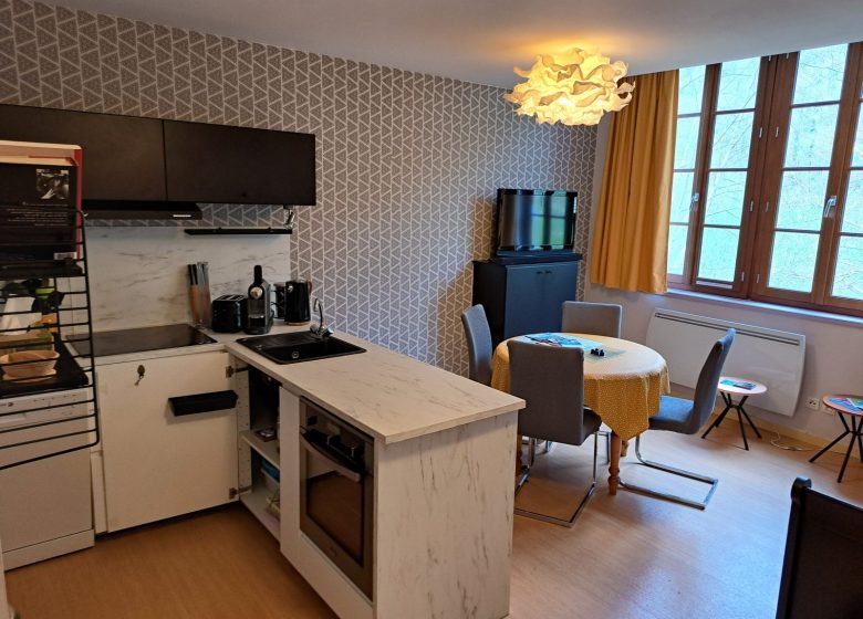 Appartement Le Porteur de Glace_Aulus-les-Bains