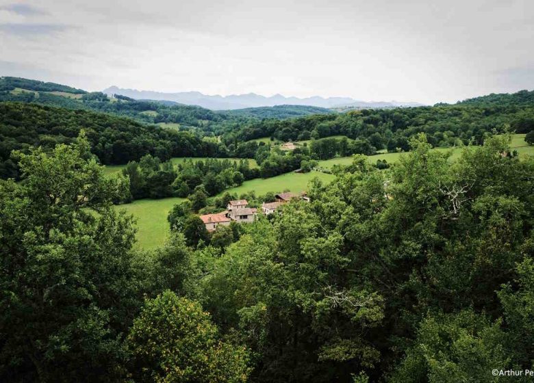 Gaec de la Chouette Montardit_AP.jpg