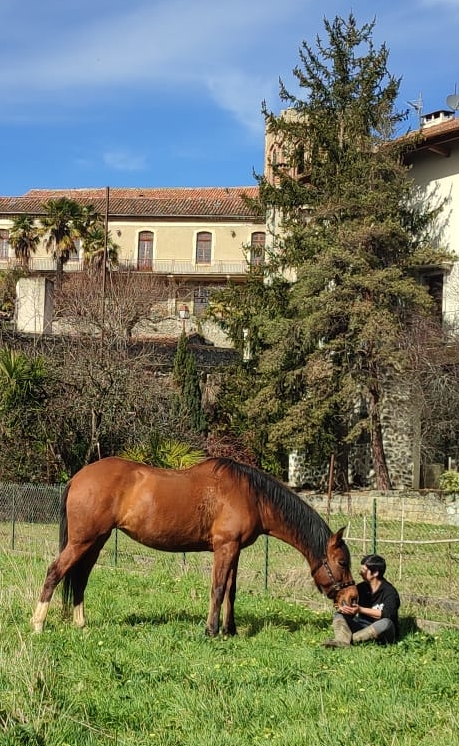 Fête des mères avec les chevaux des Crins en Soi – nature cheval
