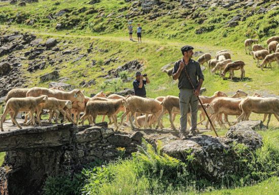 Transhumance en Biros – Repas du midi