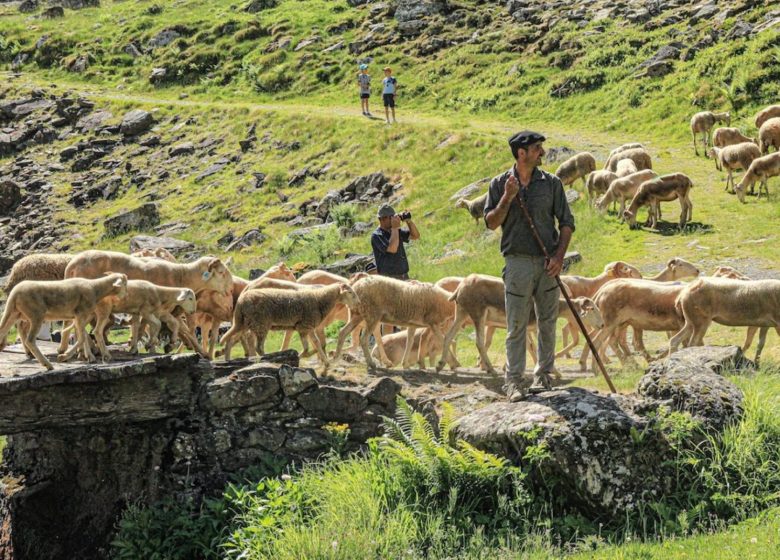 Transhumance en Biros, repas du midi_Sentein