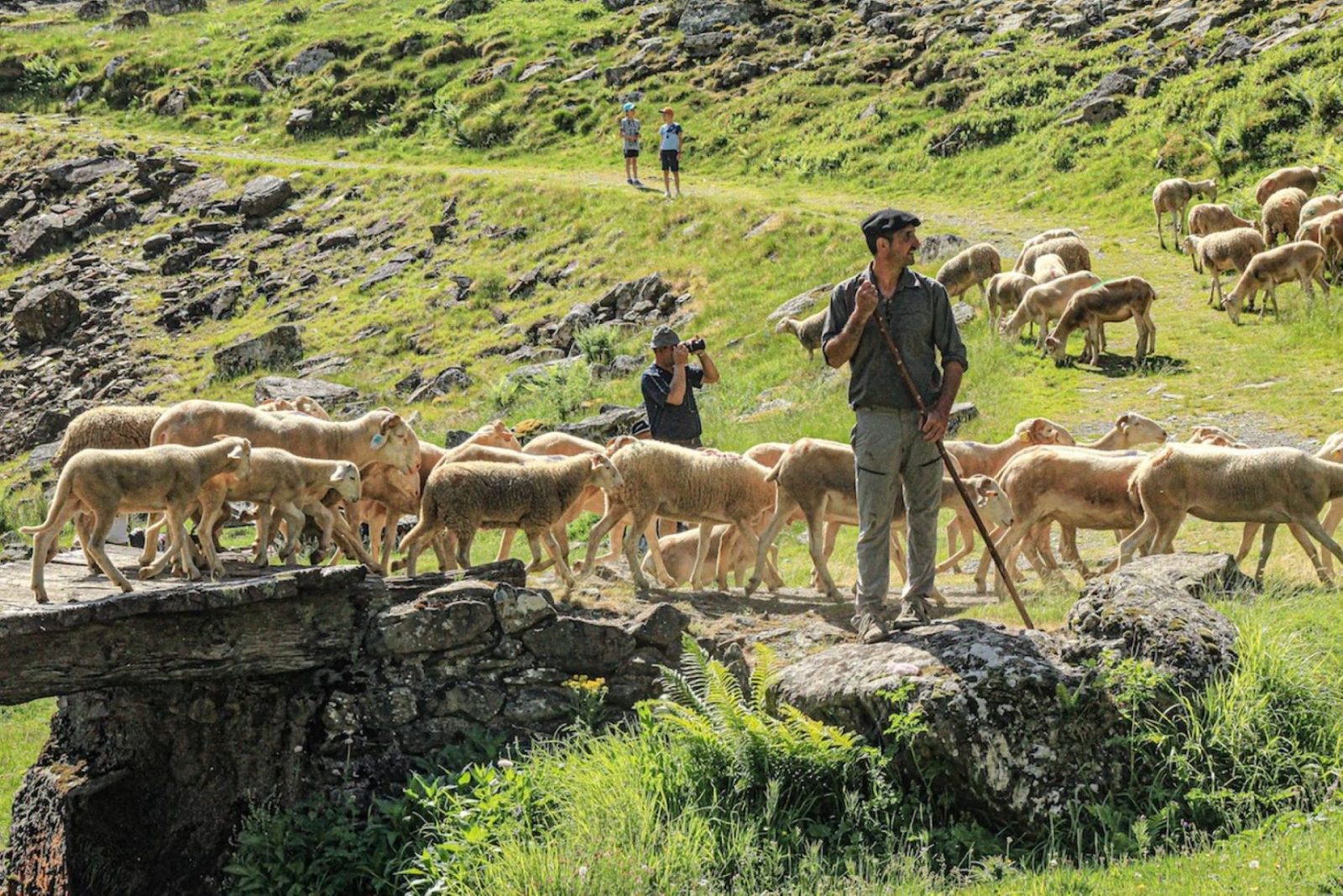 <<<COMPLET>>> Transhumance en Biros – Repas du midi <<<COMPLET>>>