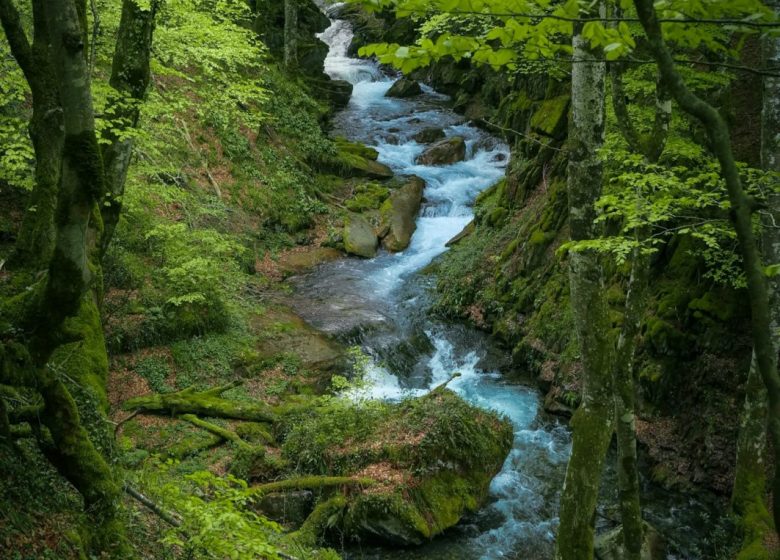 Les cascades du chemin d’Espagne_Ustou