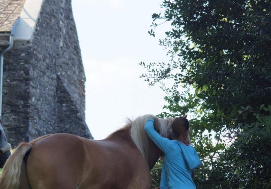 Centre équestre du Castéras