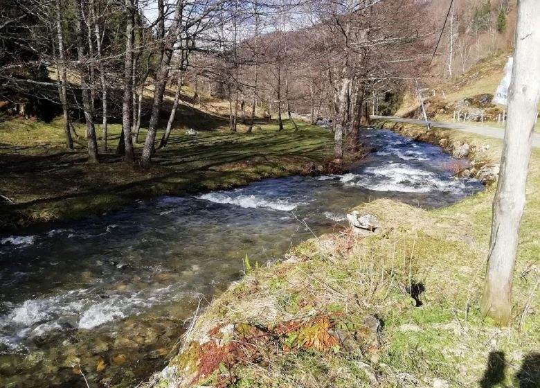 Appartement n°5 de Mme Coutanceau_Massat