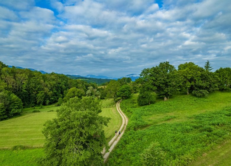 GR®78 Piémont Pyrénéen – Chemins Compostelle – Chemin Lescure à Rimont