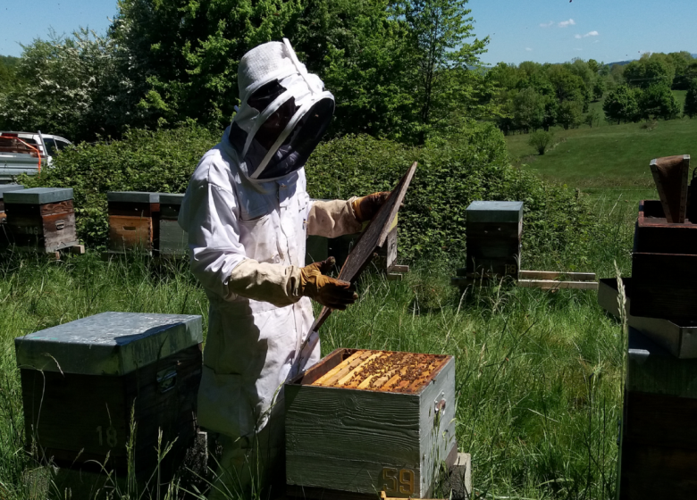 GAEC Miel Abeilles et Cie_Oust