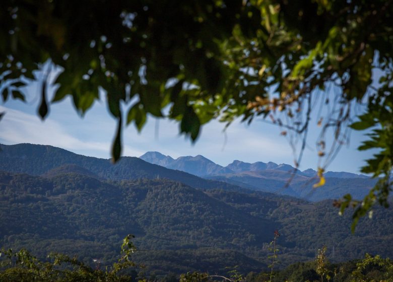 GR®78 Piémont Pyrénéen – Paysage de nature depuis Saint-Lizier