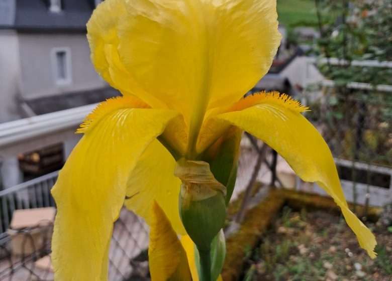 Restaurant l’Auberge de l’Isard_Saint-Lary