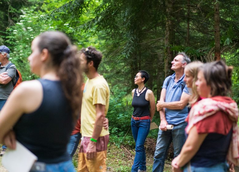 Nuits des forêts 2024