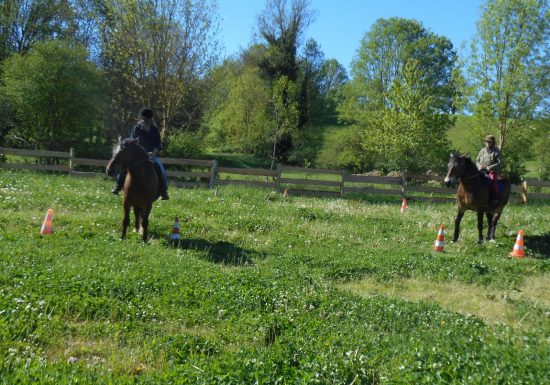 Stage d’équitation
