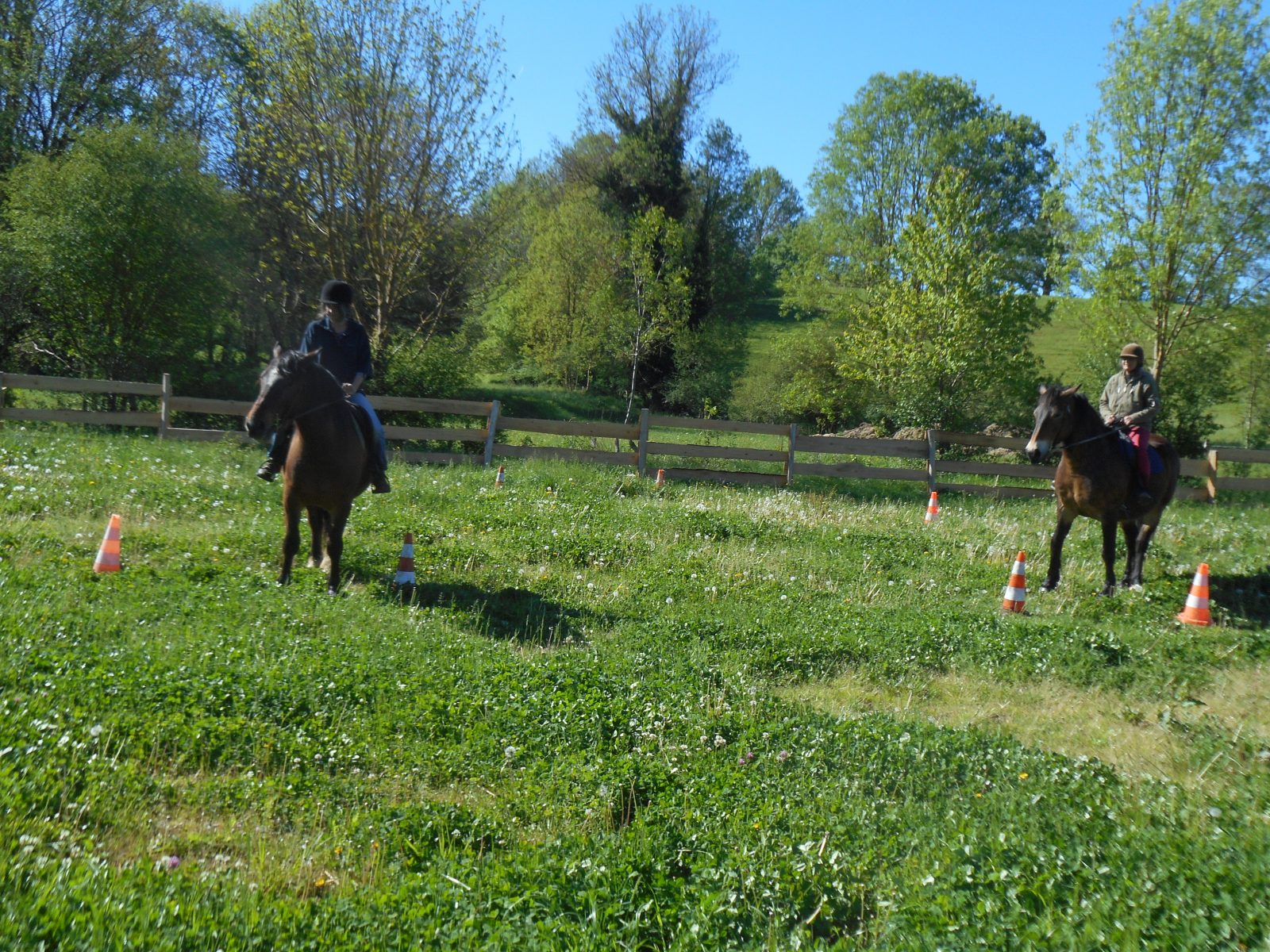 Stage d’équitation