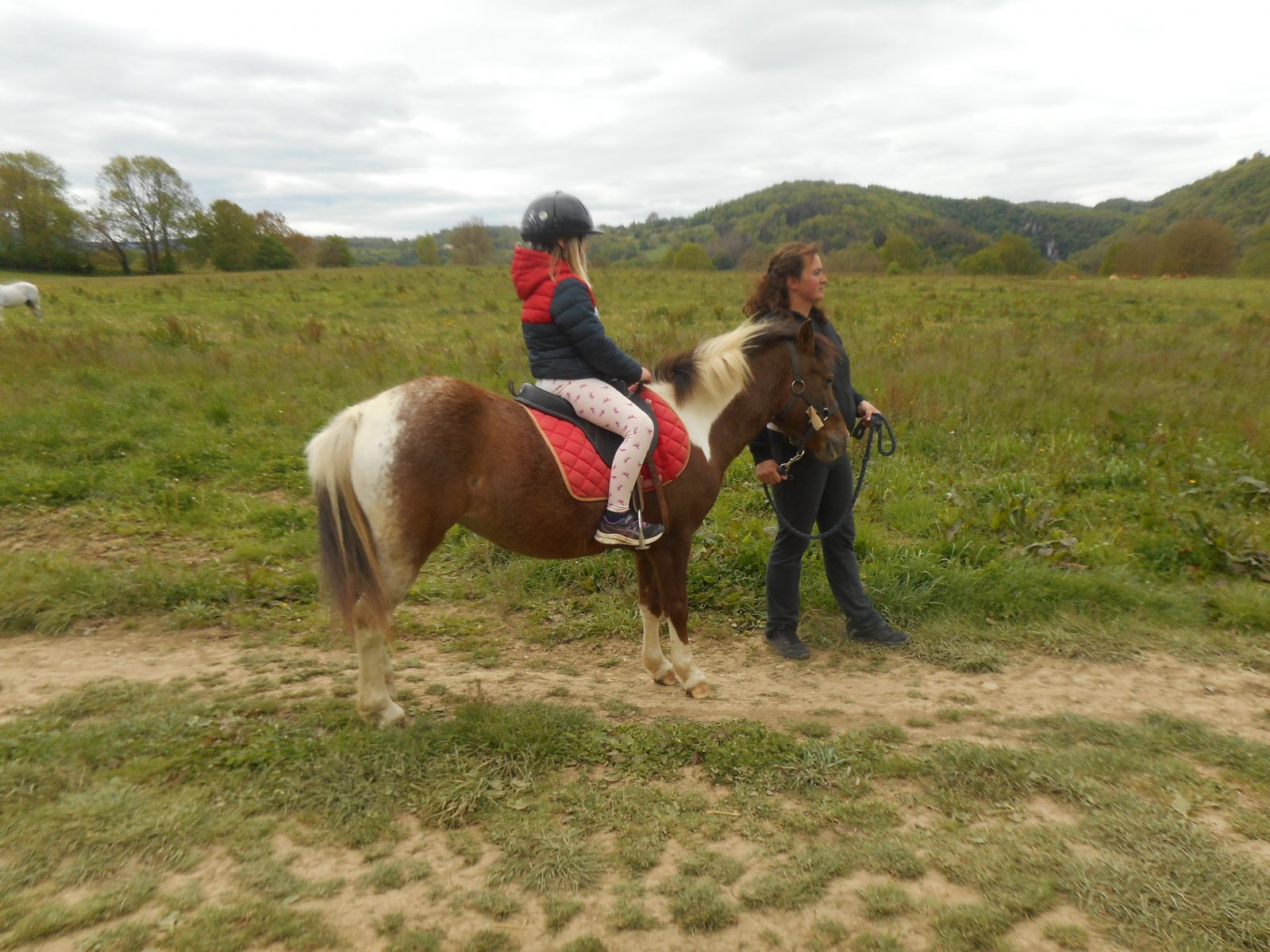 association équestre PELIPA