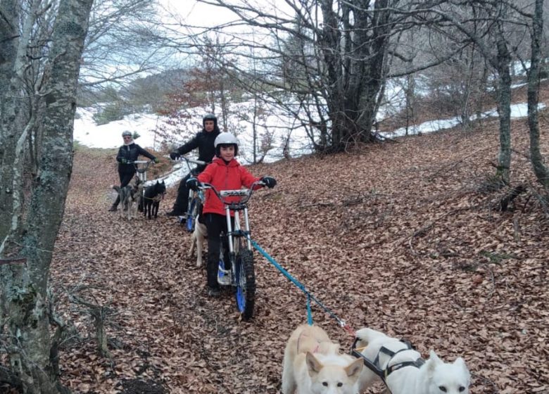 Initiation Trottinette