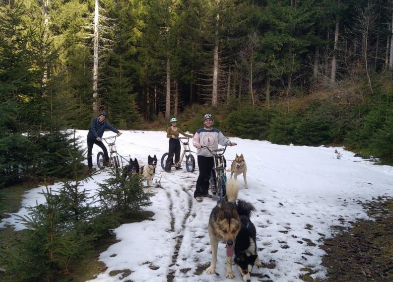 Initiation Trottinette