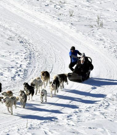 Baptême en chiens de traîneau avec Terre Sauvage