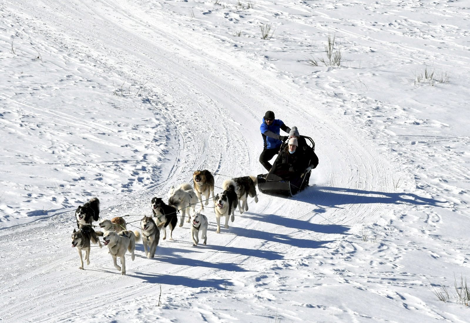 Baptême en chiens de traîneau avec Terre Sauvage